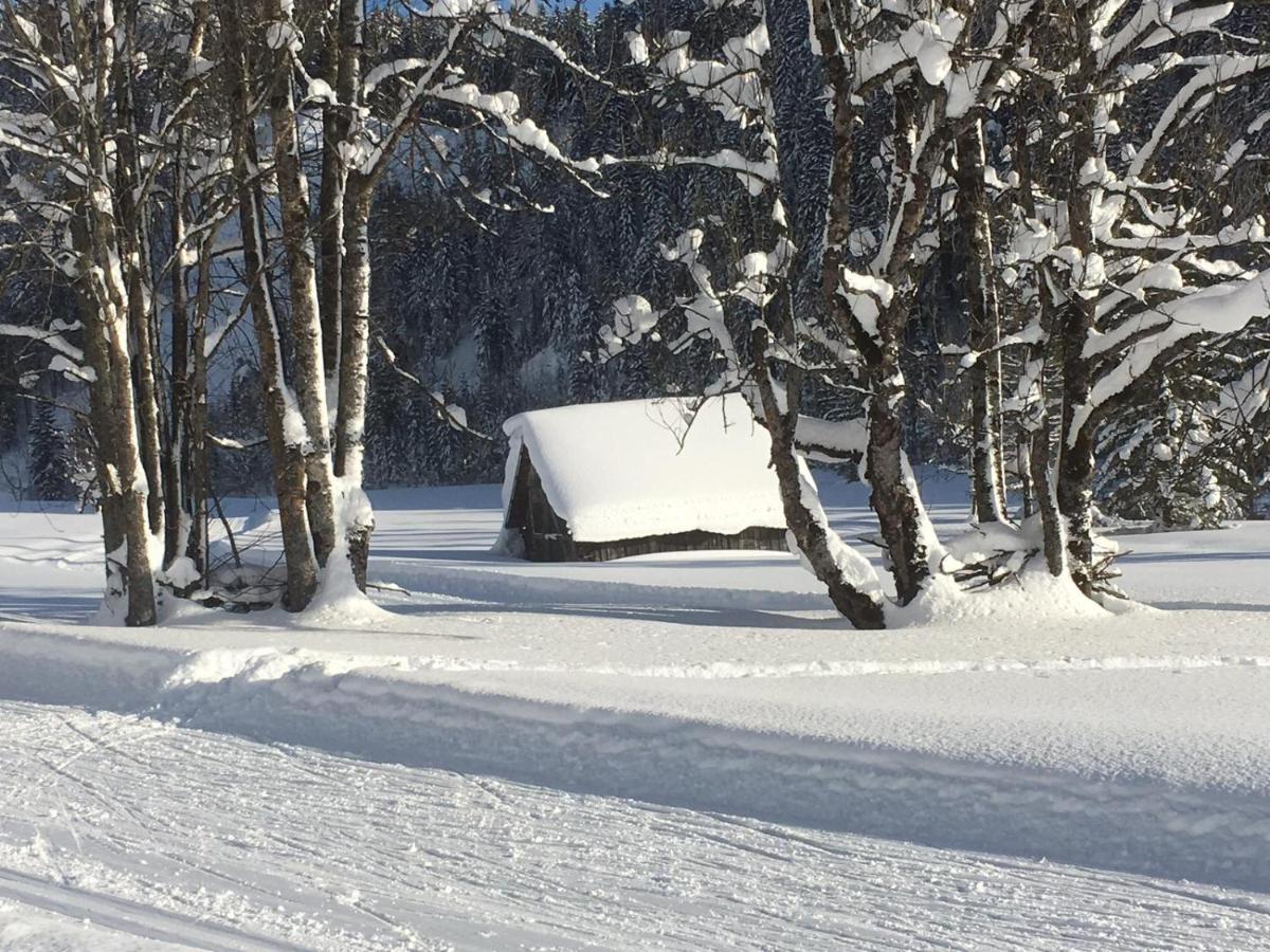 Appartementhaus Finis Рамзау ам Дахщайн Екстериор снимка